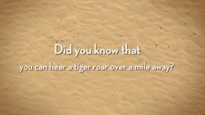 Tigers - Big Cats for Kids