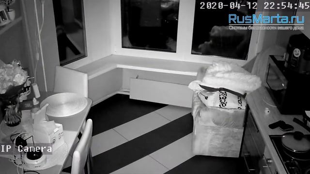 Пример записи Автономная поворотная 3G/4G камера видеонаблюдения PST GBD10 смотреть онлайн