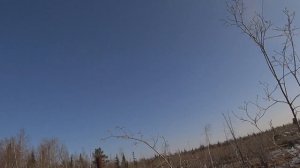 ОХОТА НА СЕВЕРНУЮ УТКУ! Весна