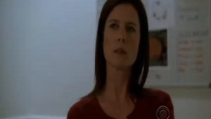 Torri Higginson in NCIS - part5