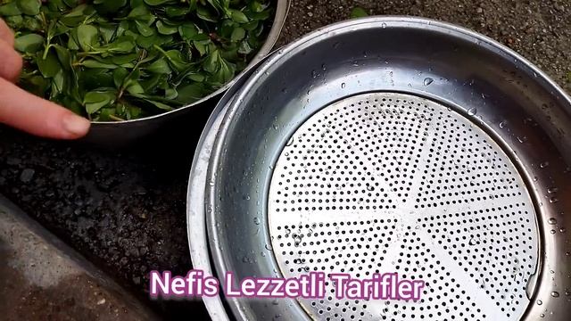 SEMİZOTUNU BU ŞEKİLDE SAKLAYIN - KIŞIN TAZE TAZE TÜKETİN - KIŞ İÇİN SEMİZOTU NASIL SAKLANIR ? смотреть онлайн