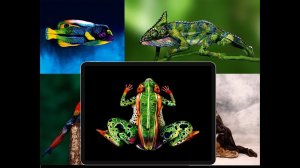 Календарь с дополненной реальностью