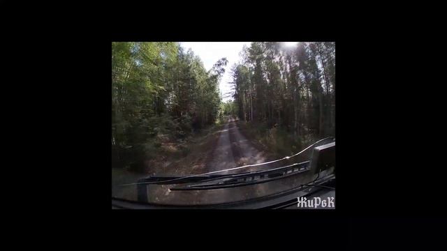 Лесовоз Вольво FH 16 Возим пиловочник