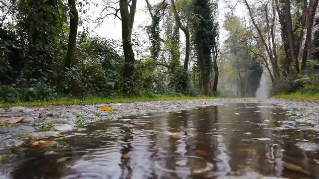 Я с книгой открываю мир. Мальвина Матрасова смотреть онлайн