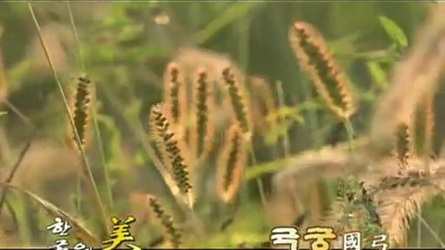 Изготовление азиатского лука. Часть 1. | Making the Asian archery. Part 1. смотреть онлайн