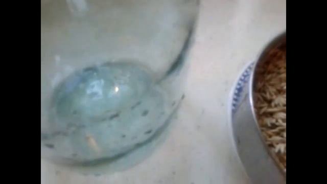 овсяной квас по-монастырски смотреть онлайн