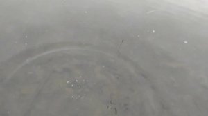 ловля окуня на спиннинг поздней осенью 2020 река Ока