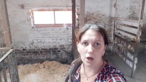 ФУУ!!!КАК МОЖНО СОДЕРЖАТЬ СВИНЕЙ?СМЕНЯЕМАЯ или НЕ СМЕНЯЕМАЯ ПОДСТИЛКА ДЛЯ СВИНЕЙ. КАК ОНА РАБОТАЕТ