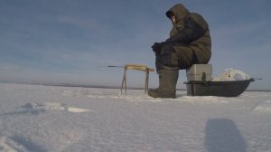 ЛОВЛЯ СУДАКА ЗИМОЙ ТАМ, ГДЕ ЛОВИЛ ЛЕТОМ.( КОРЯЖНИК)
