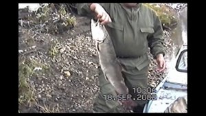 ОХОТА НА ЛОСЯ В ЯКУТИИ. MOOSE HUNTING IN SIBERIA