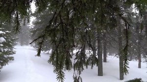 Таганай, дойти к Откликному Гребню