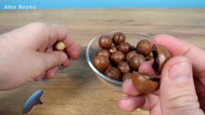 Макадамия самый дорогой и крепкий орех в мире! Почему он надпилен и зачем к нему ключ?