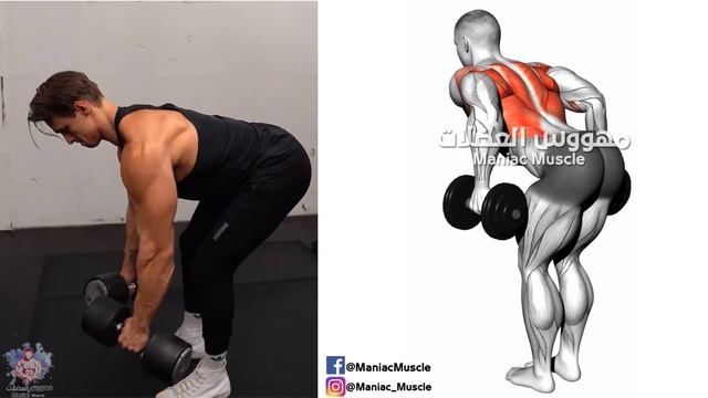 ? Exercise Back Workouts (Dumbbells Row Only)