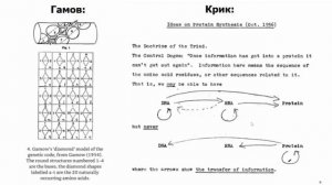 Фильм #Когнитом Сфирали: нейрокогнитивный #код (обновлённая версия)