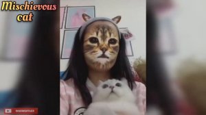 Реакция котов на маску 😹 Cats ' reaction to the mask | FullHD