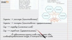 Упражнение №213 — Гдз по русскому языку 6 класс (Ладыженская) 2019 часть 1