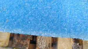 вода для пчёл в весенние холода