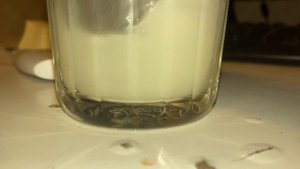 Проверка масла Вкуснотеево на Пальму