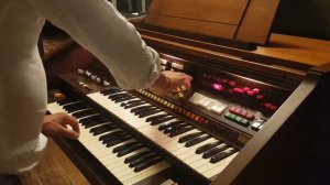 MicheleNastiOfficial "Notturna" with Farfisa Pergamon