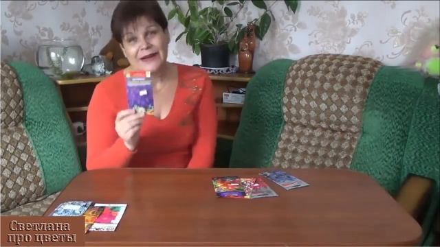 Однолетники цветущие все лето Неприхотливые цветы простые в уходе