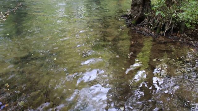 11.10.2021 Время.mp4