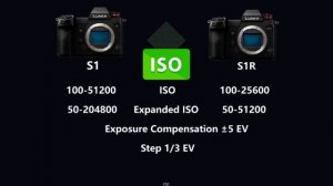 Panasonic Lumix S1 vs Panasonic Lumix S1R