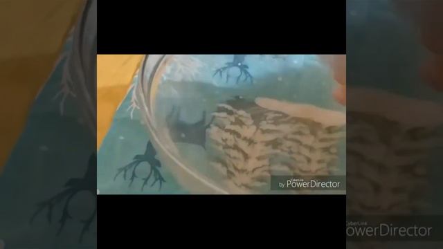 Суюк тамак мампар! смотреть онлайн