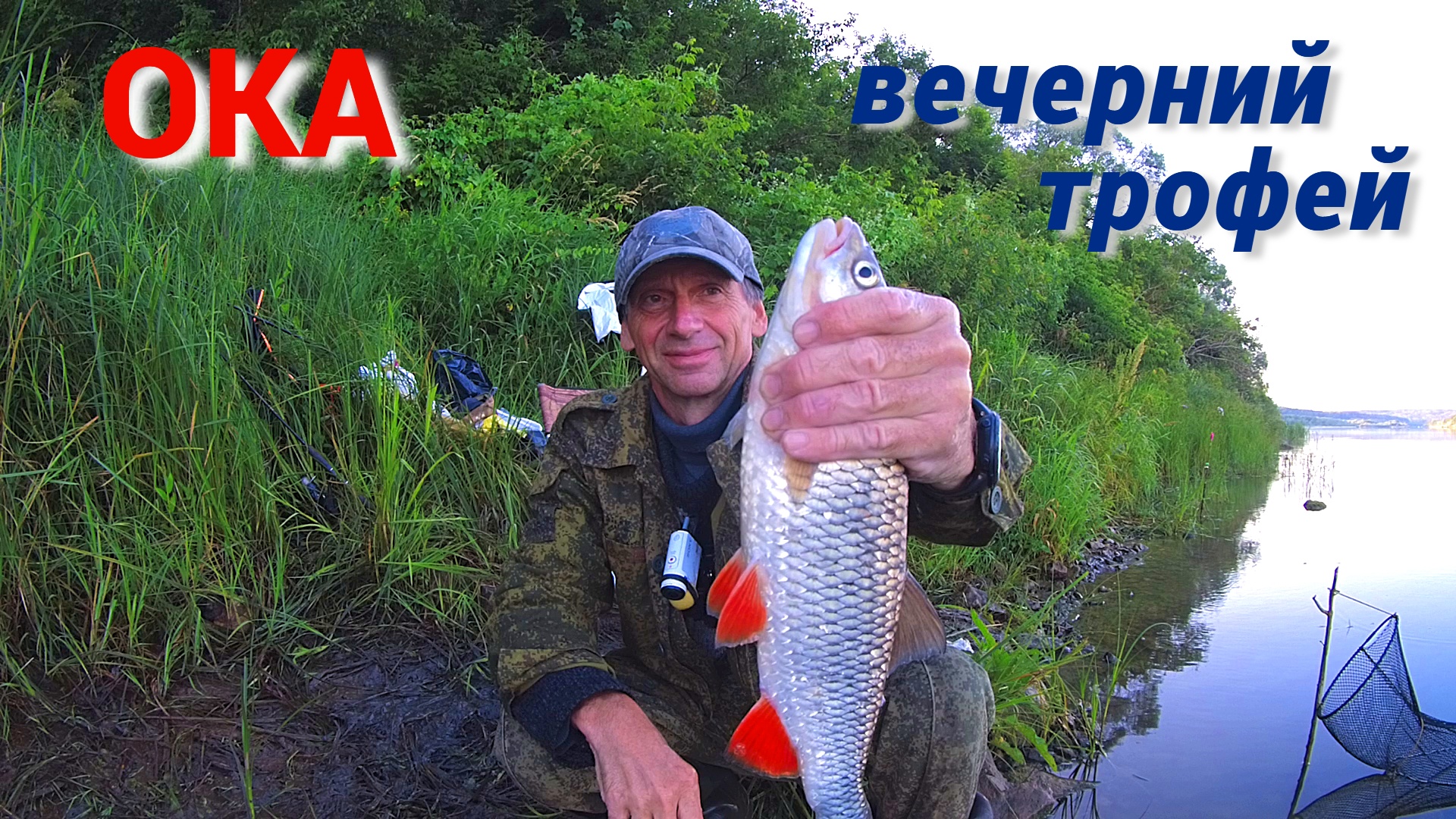УДОЧКА ПОЛЗЁТ В ВОДУ. ТРОФЕИ КЛЮЮТ ВЕЧЕРОМ. Рыбалка на ГОРОХ, ПШЕНИЦУ и САЛО на ОКЕ.