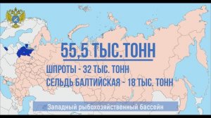 Российские рыбаки выловили более 3,2 млн тонн рыбы – на 10,6% выше уровня прошлого года