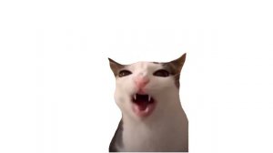 кошка хрустит 5 минут