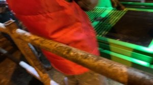 Гидравлический станок для обрезки копыт у коров