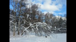 Усадьбы Вязёмы, Захарово. Пушкинские места. Фотоотчет