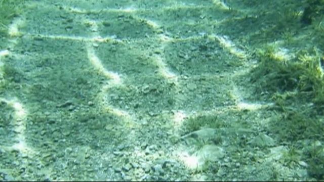 Почему вода не замерзает под толстым слоем льда смотреть онлайн