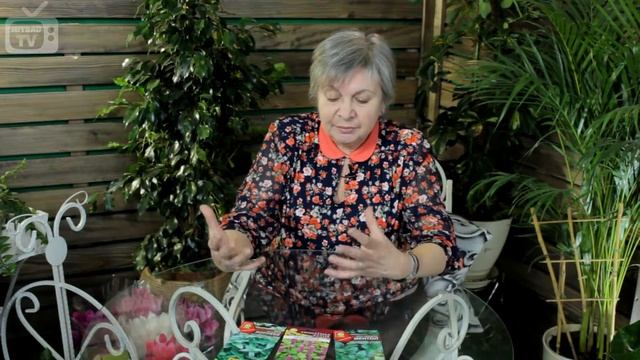 Мята. Полезные свойства и особенности выращивания.