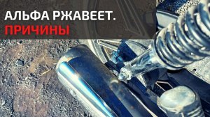 Почему китайская мототехника ржавеет. Разбираемся