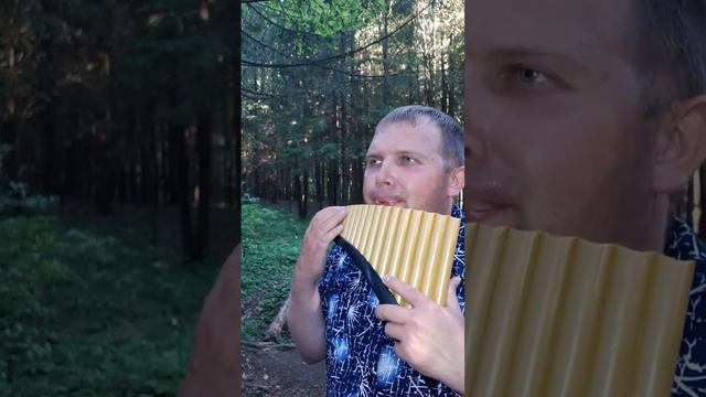 Путники в ночи. Ринат Ибрагимов. смотреть онлайн