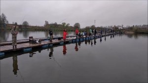 УТРЕННИЕ ПОИМКИ ОСЕТРА КЛЁВОЕ МЕСТО д. Савельево