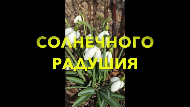 С Днем 8 Марта! Матери, жене и дочерям! смотреть онлайн