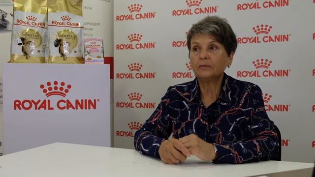 Метаморфозы сплошного окраса: акромеланические окрасы. смотреть онлайн