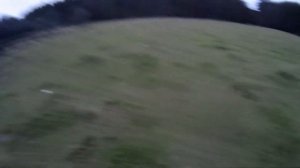 Осенняя охота на уток с подсадной