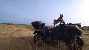 Baltmotors Jumbo 700 MAX LUX