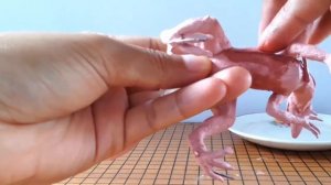 VELOCIRAPTOR BLUE vs INDORAPTOR with Clay. Jurassic World: Fallen kingdom 2018.