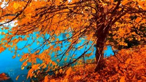 Сергей Есенин — Закружилась листва золотая: Стих