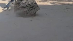 Пранк Над Животными :) фейковвый Лев и Тигр Тролят Собак