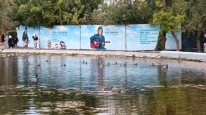 Чудесная осень парк