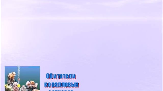 Австралия материк парадоксов и эндемиков смотреть онлайн