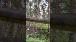 Куда можно сходить в Екатеринбурге с детьми?!(часть 1)