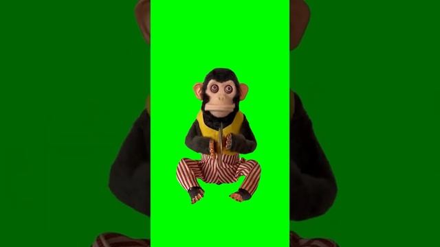 Monkey clapping Cymbals - free download | @ChromaKeyKingdom | #86 #greenscreenmeme #greenscreen