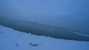 Клевая рыбалка на хариуса с кромки ЕНИСЕЯ #хариус#енисей