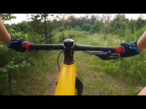 Миша штурмует полигон